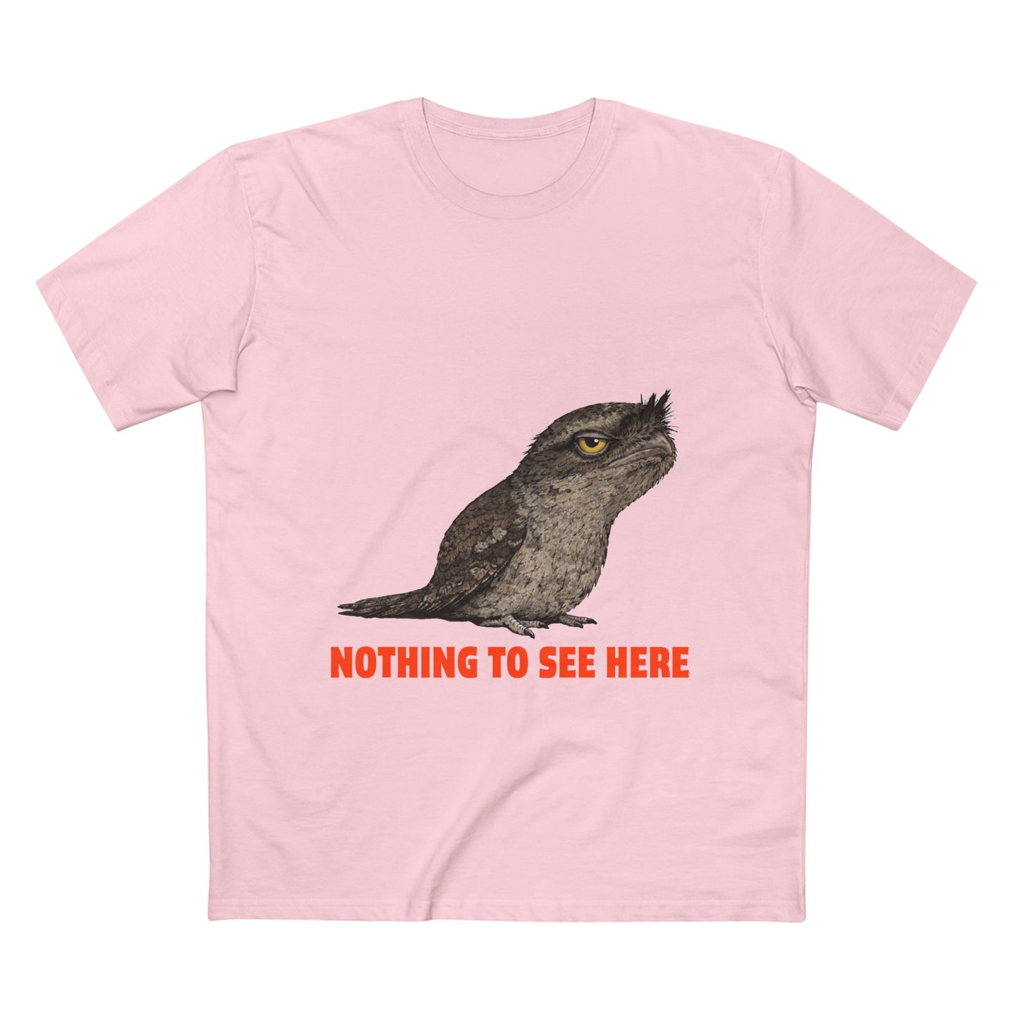 Nothing to See Here - Tawny Frogmouth