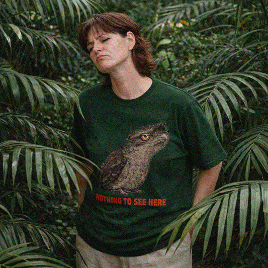 Nothing to See Here - Tawny Frogmouth