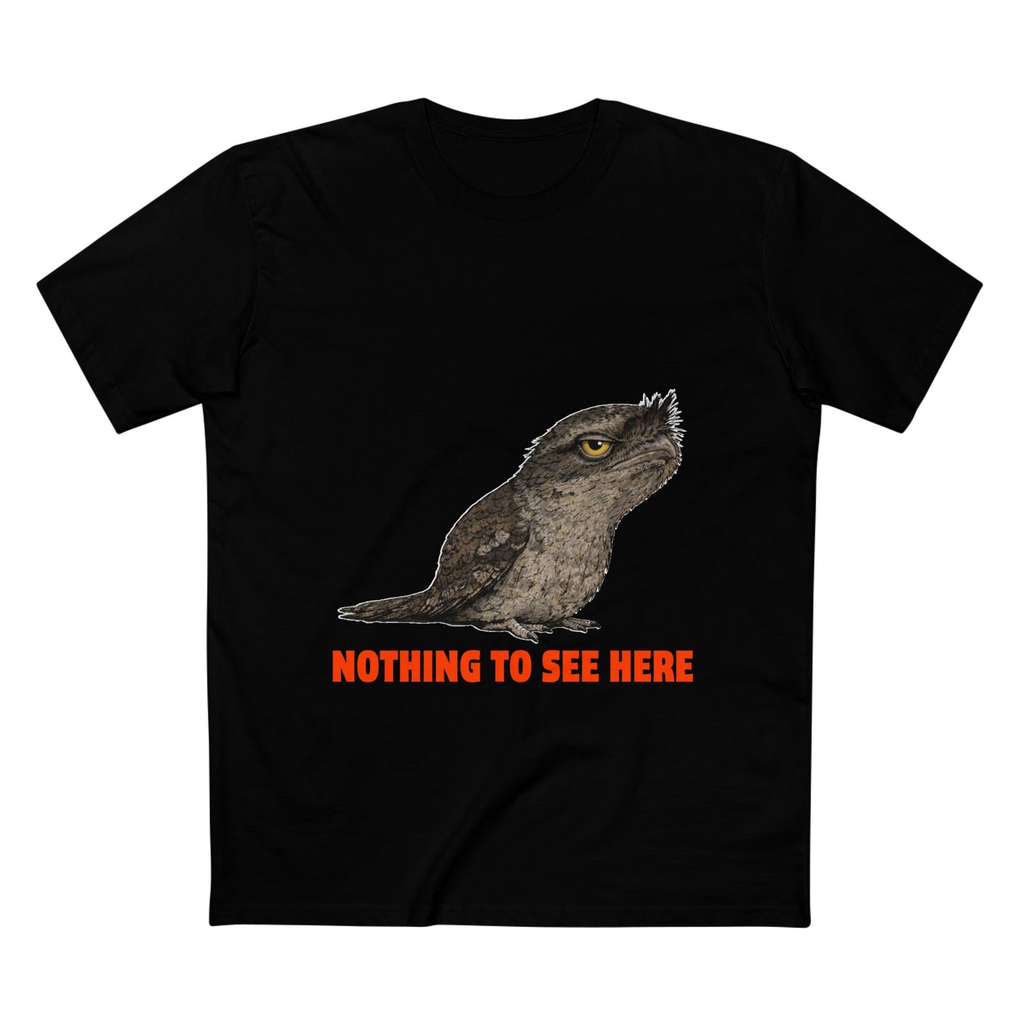 Nothing to See Here - Tawny Frogmouth