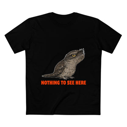 Nothing to See Here - Tawny Frogmouth