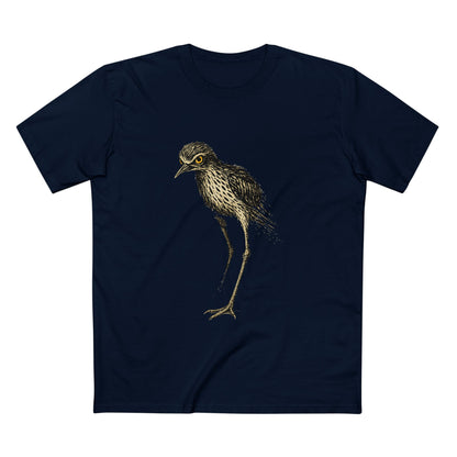 Professional Lurker – Bush Stone Curlew