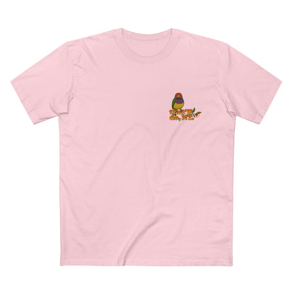Gouldian Finch · Tiny But Mighty