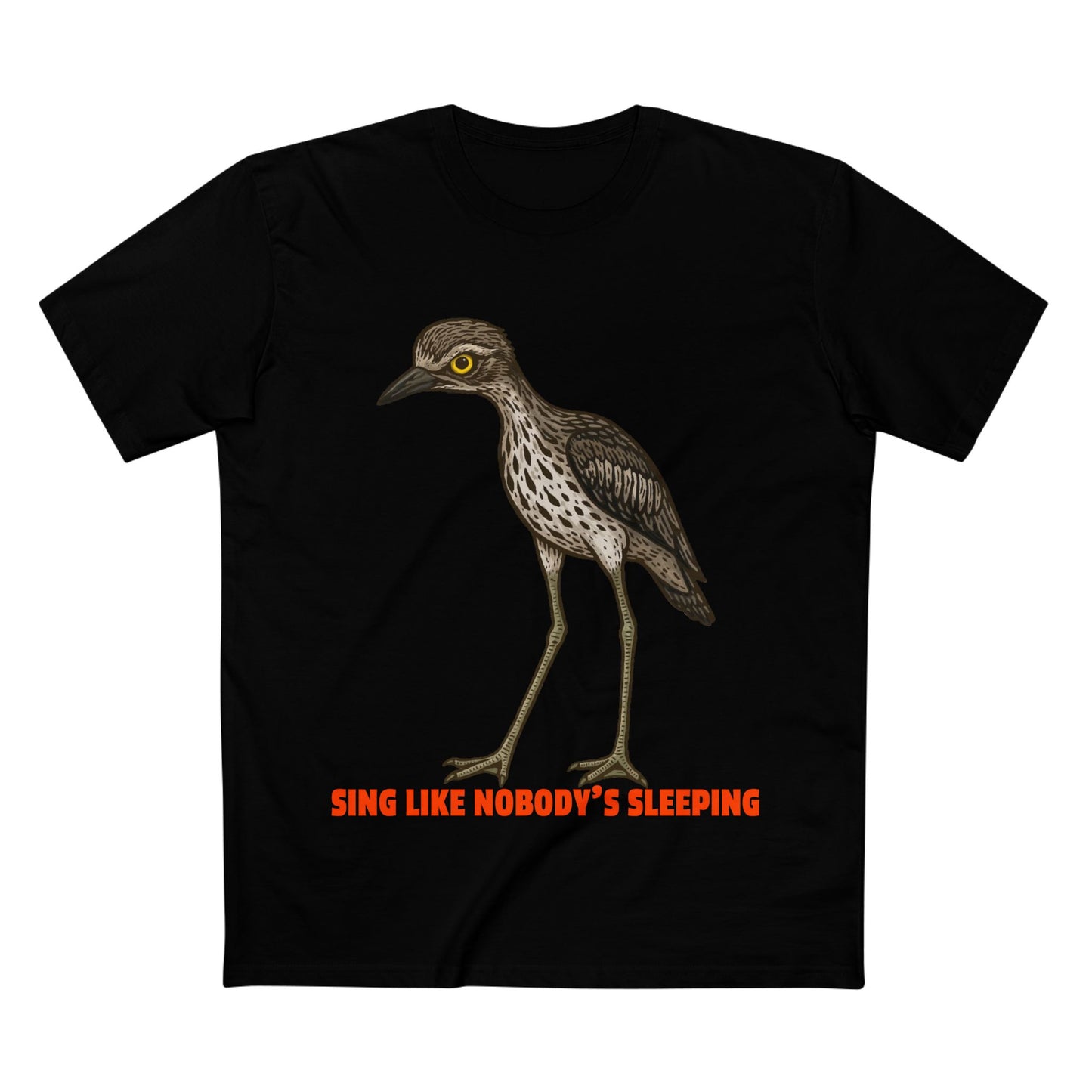 Sing Like Nobody's Sleeping - Bush Stone Curlew