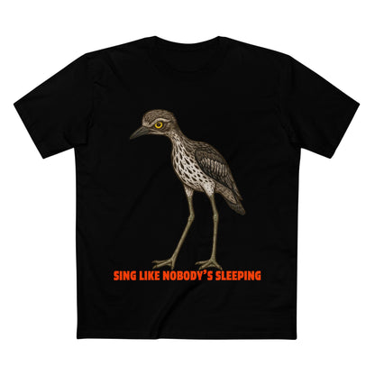Sing Like Nobody's Sleeping - Bush Stone Curlew