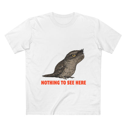 Nothing to See Here - Tawny Frogmouth