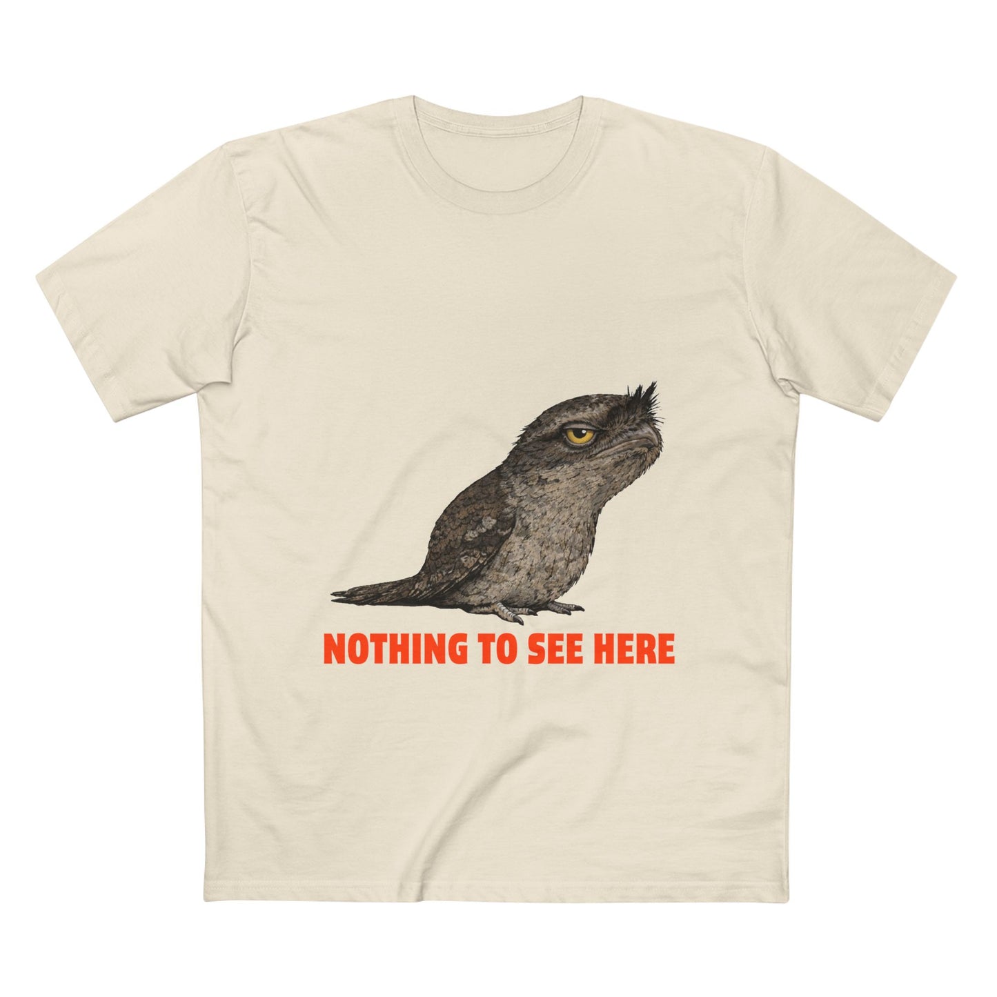 Nothing to See Here - Tawny Frogmouth