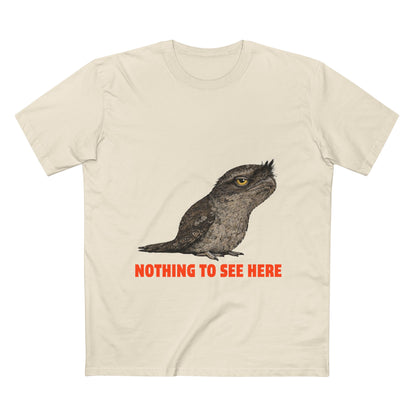Nothing to See Here - Tawny Frogmouth