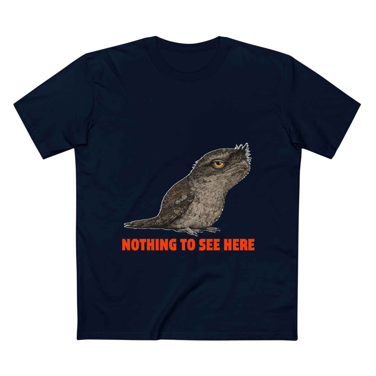 Nothing to See Here - Tawny Frogmouth