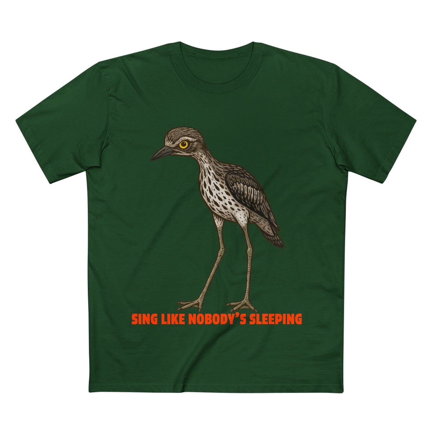 Sing Like Nobody's Sleeping - Bush Stone Curlew