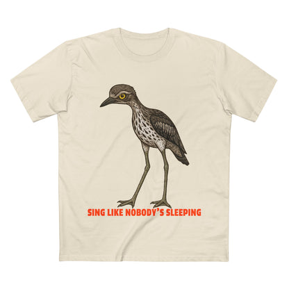 Sing Like Nobody's Sleeping - Bush Stone Curlew