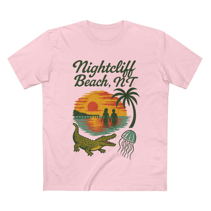 Nightcliff Beach (0 crocs, 0 stingers)