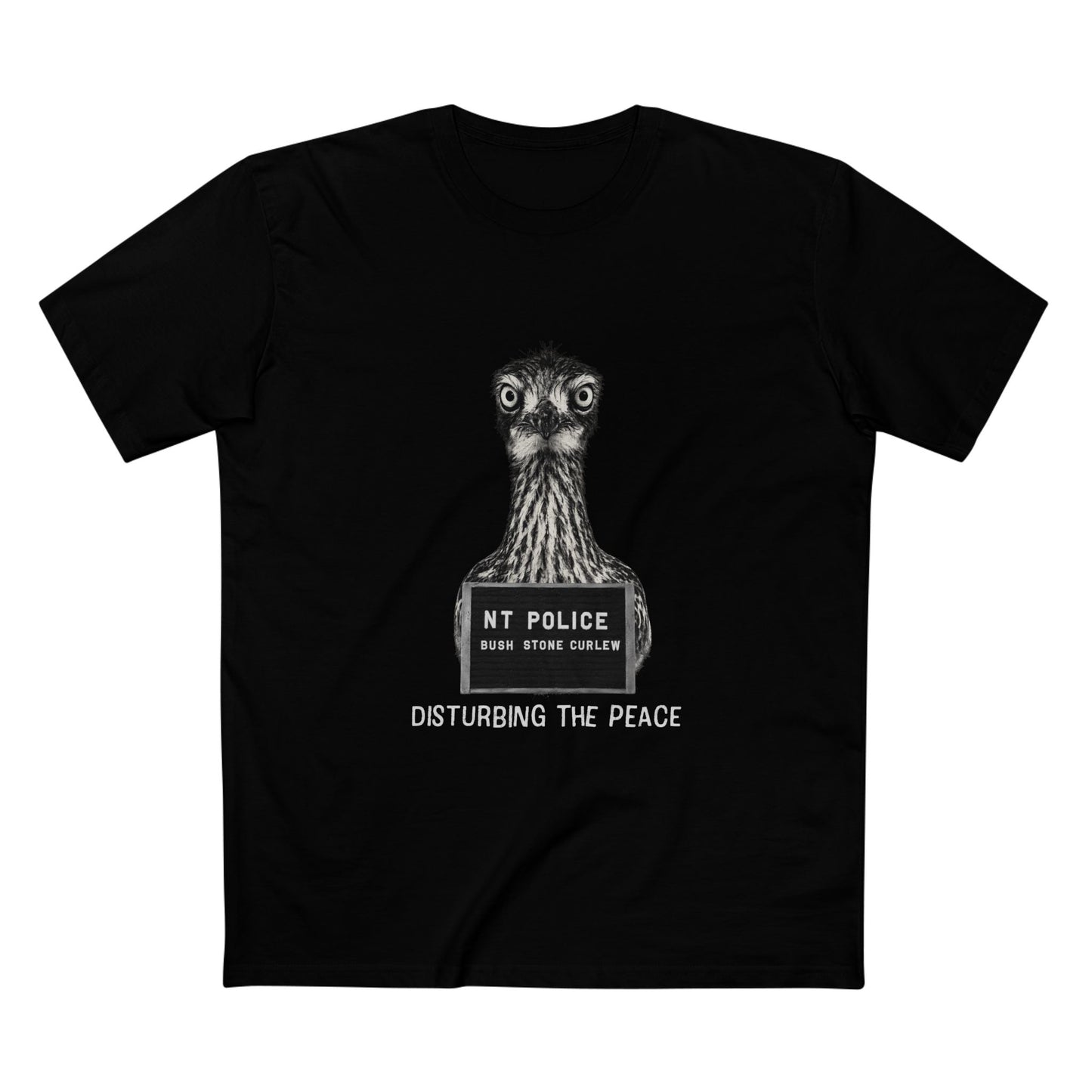 Bush Stone Curlew - Mugshot