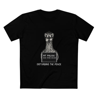 Bush Stone Curlew - Mugshot