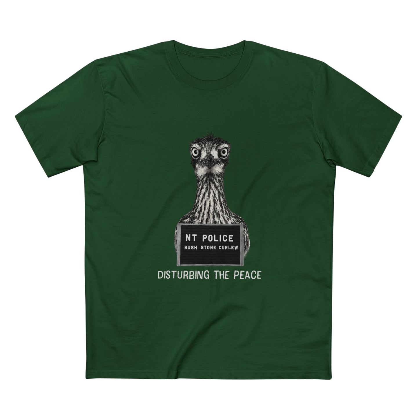 Bush Stone Curlew - Mugshot