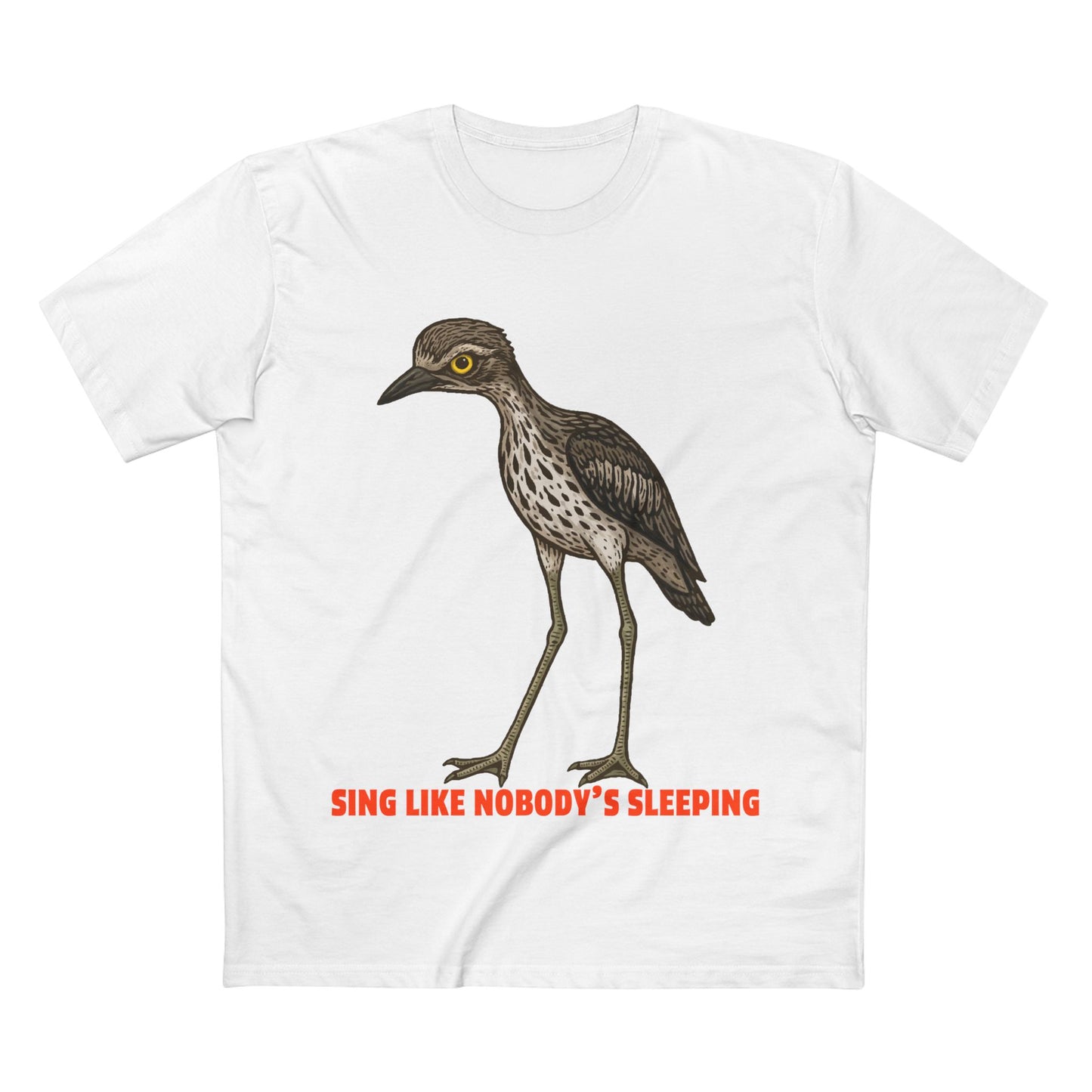 Sing Like Nobody's Sleeping - Bush Stone Curlew