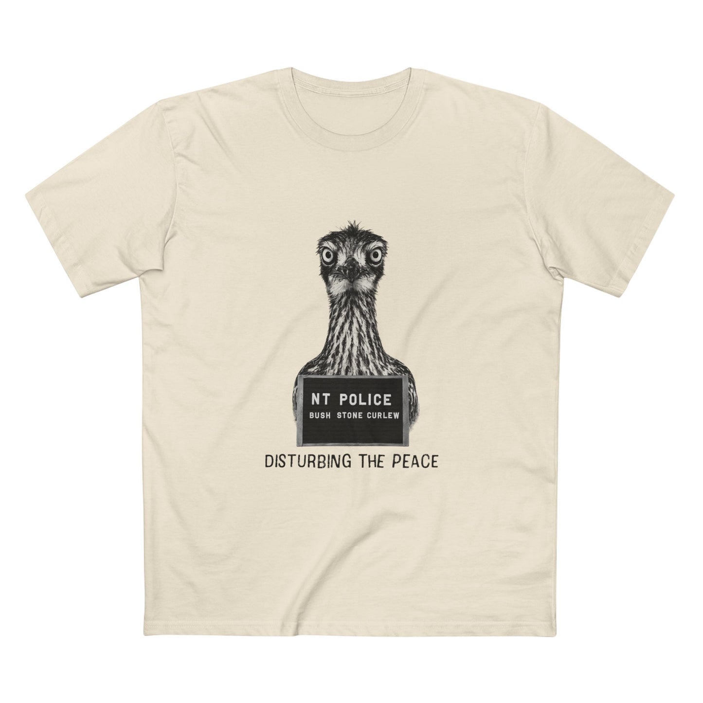 Bush Stone Curlew - Mugshot