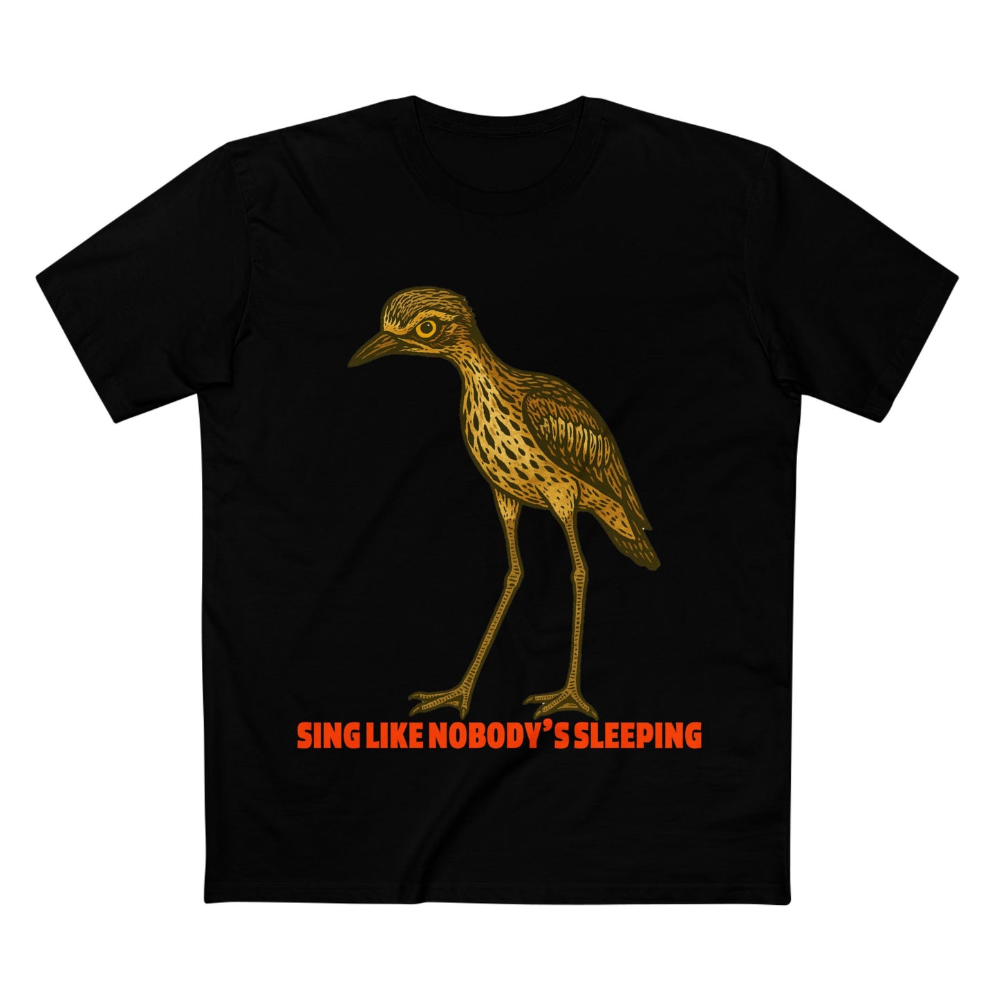 Sing Like Nobody's Sleeping - Bush Stone Curlew