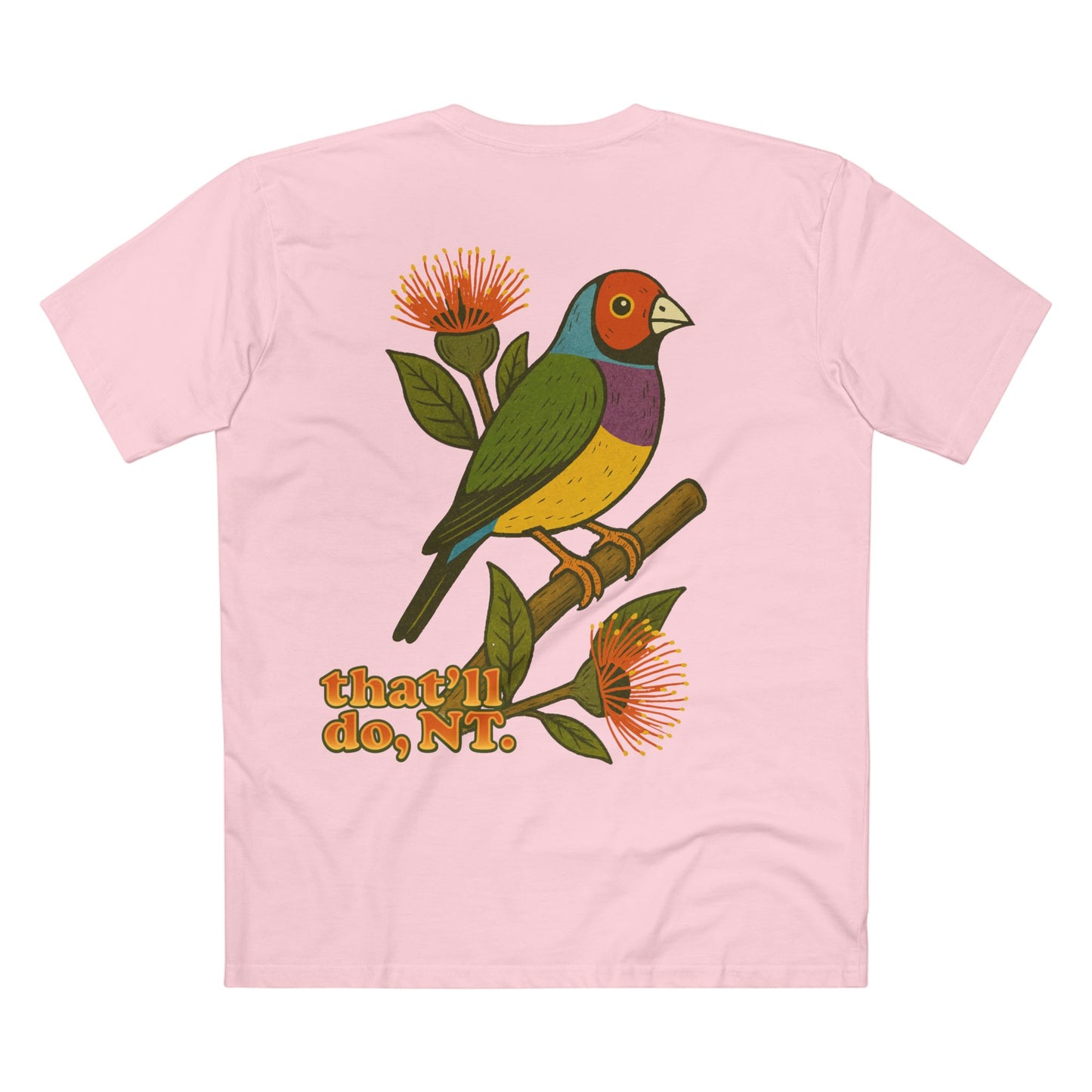 Gouldian Finch · Tiny But Mighty