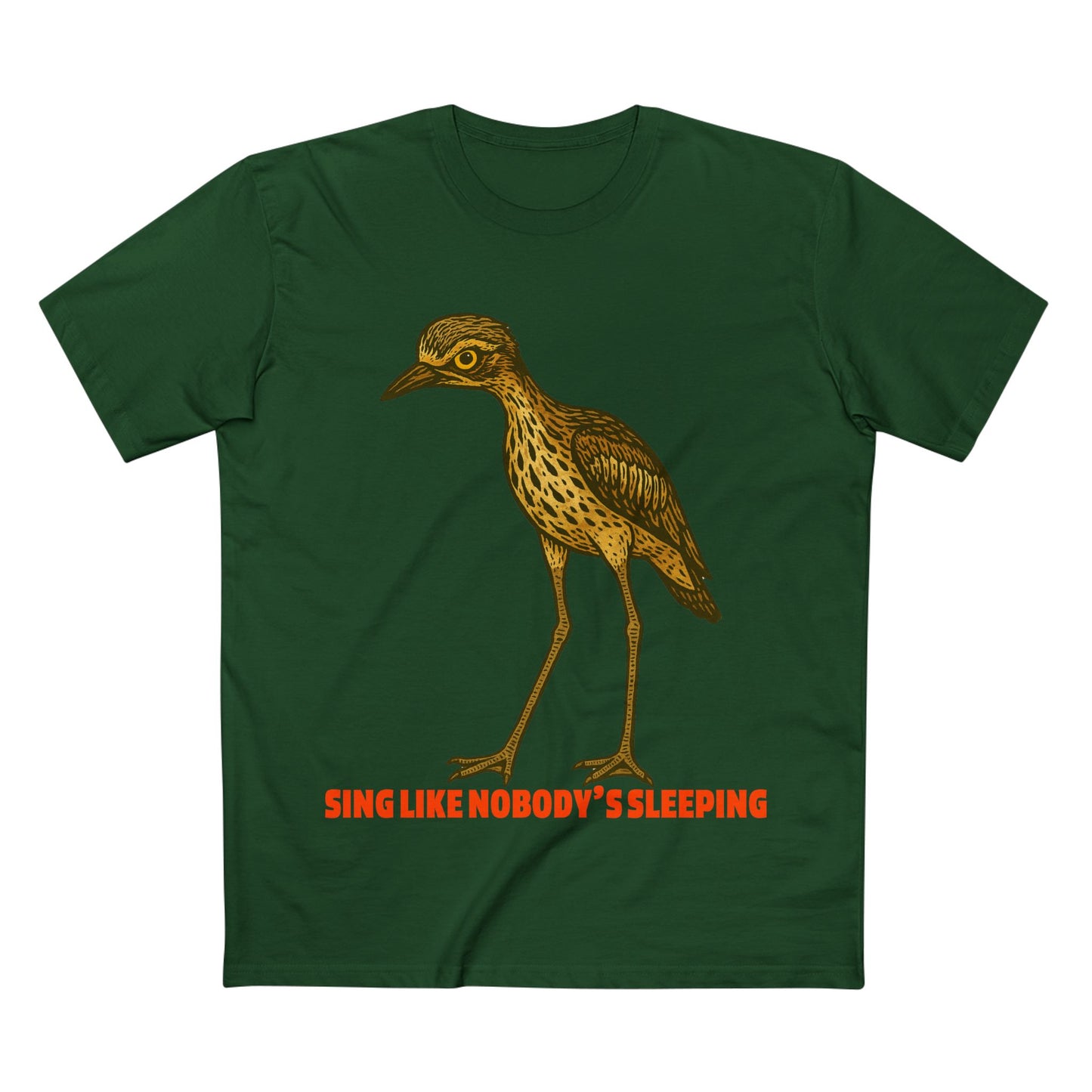 Sing Like Nobody's Sleeping - Bush Stone Curlew