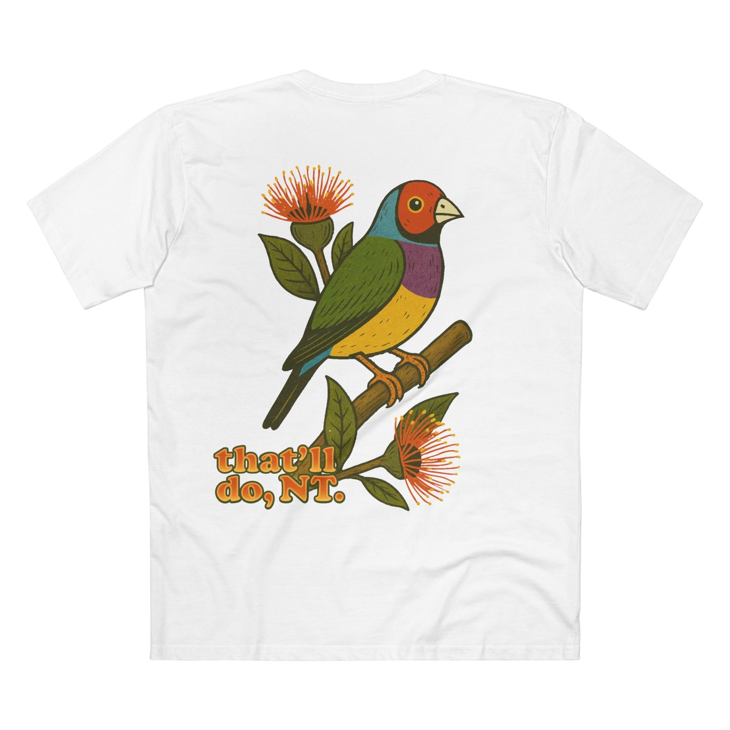 Gouldian Finch · Tiny But Mighty