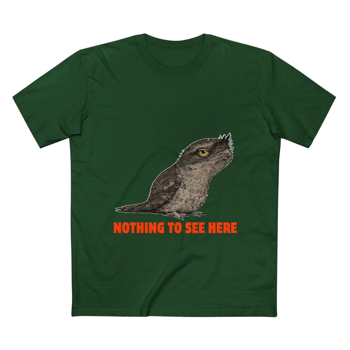 Nothing to See Here - Tawny Frogmouth