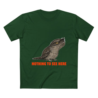 Nothing to See Here - Tawny Frogmouth