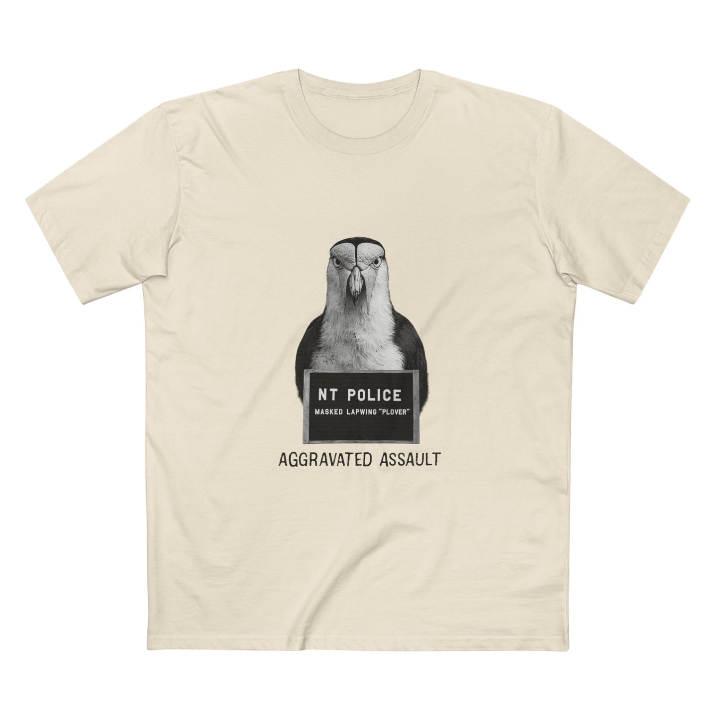 Masked Lapwing "Plover" - Mugshot