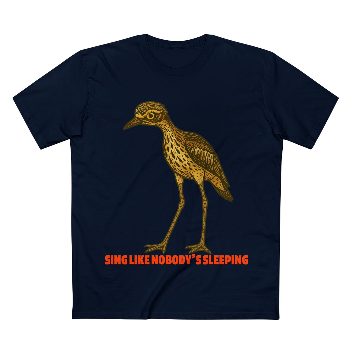Sing Like Nobody's Sleeping - Bush Stone Curlew