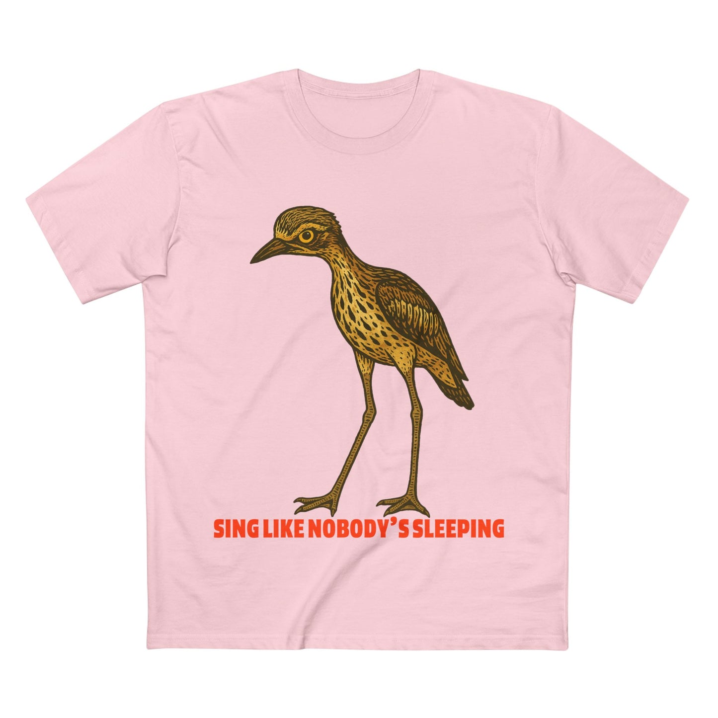 Sing Like Nobody's Sleeping - Bush Stone Curlew