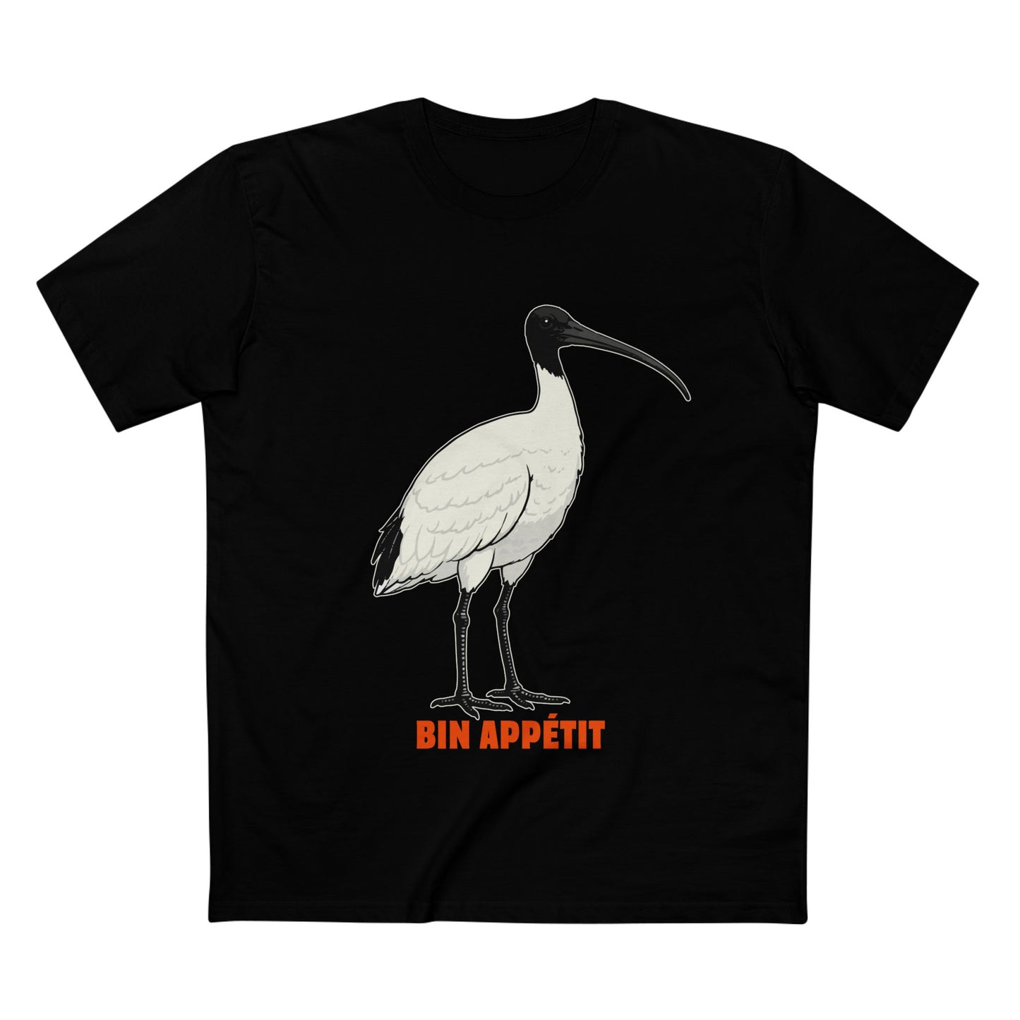 Bin Appétit - Australian White Ibis