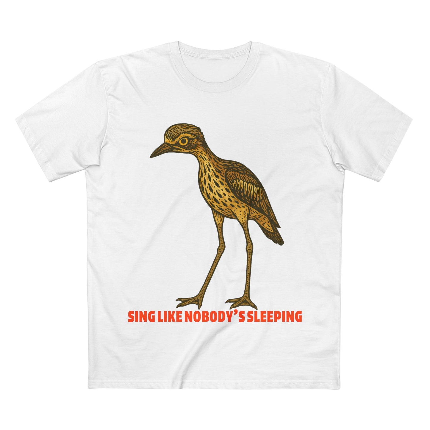 Sing Like Nobody's Sleeping - Bush Stone Curlew