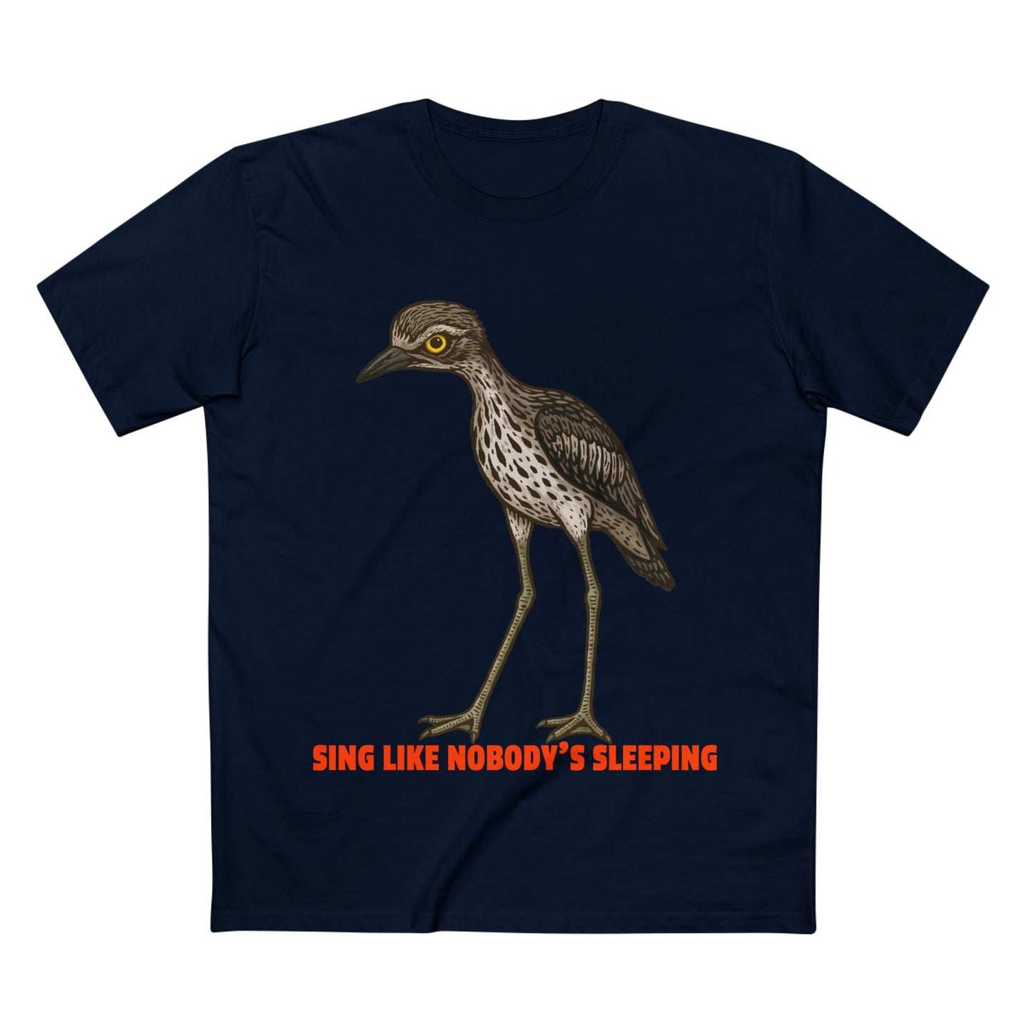 Sing Like Nobody's Sleeping - Bush Stone Curlew