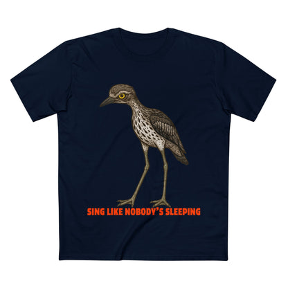 Sing Like Nobody's Sleeping - Bush Stone Curlew