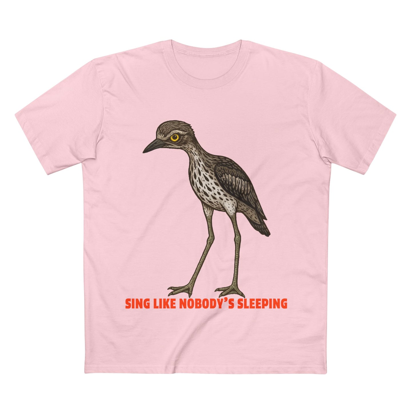 Sing Like Nobody's Sleeping - Bush Stone Curlew