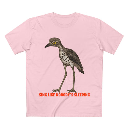 Sing Like Nobody's Sleeping - Bush Stone Curlew