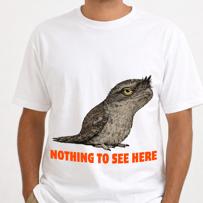 Nothing to See Here - Tawny Frogmouth