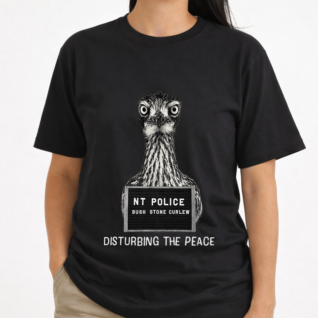 Bush Stone Curlew - Mugshot