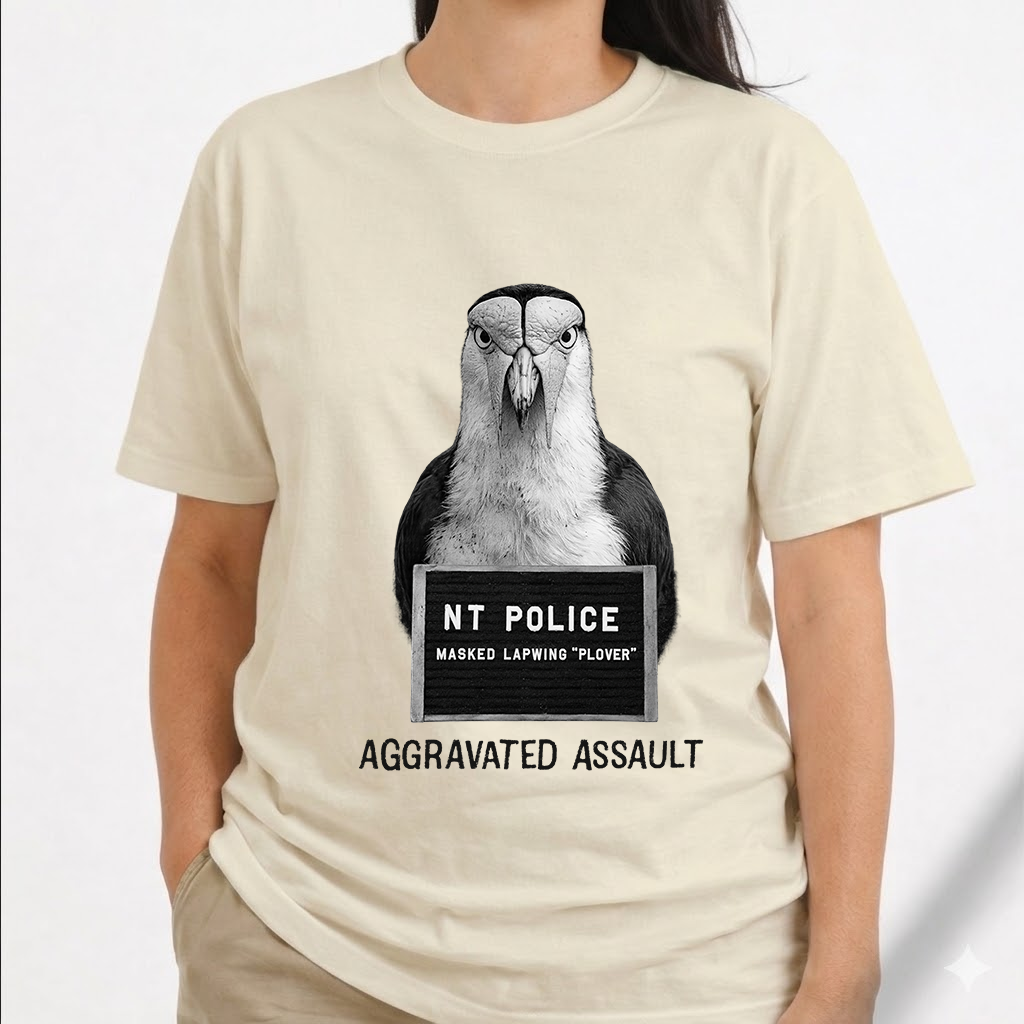Masked Lapwing "Plover" - Mugshot