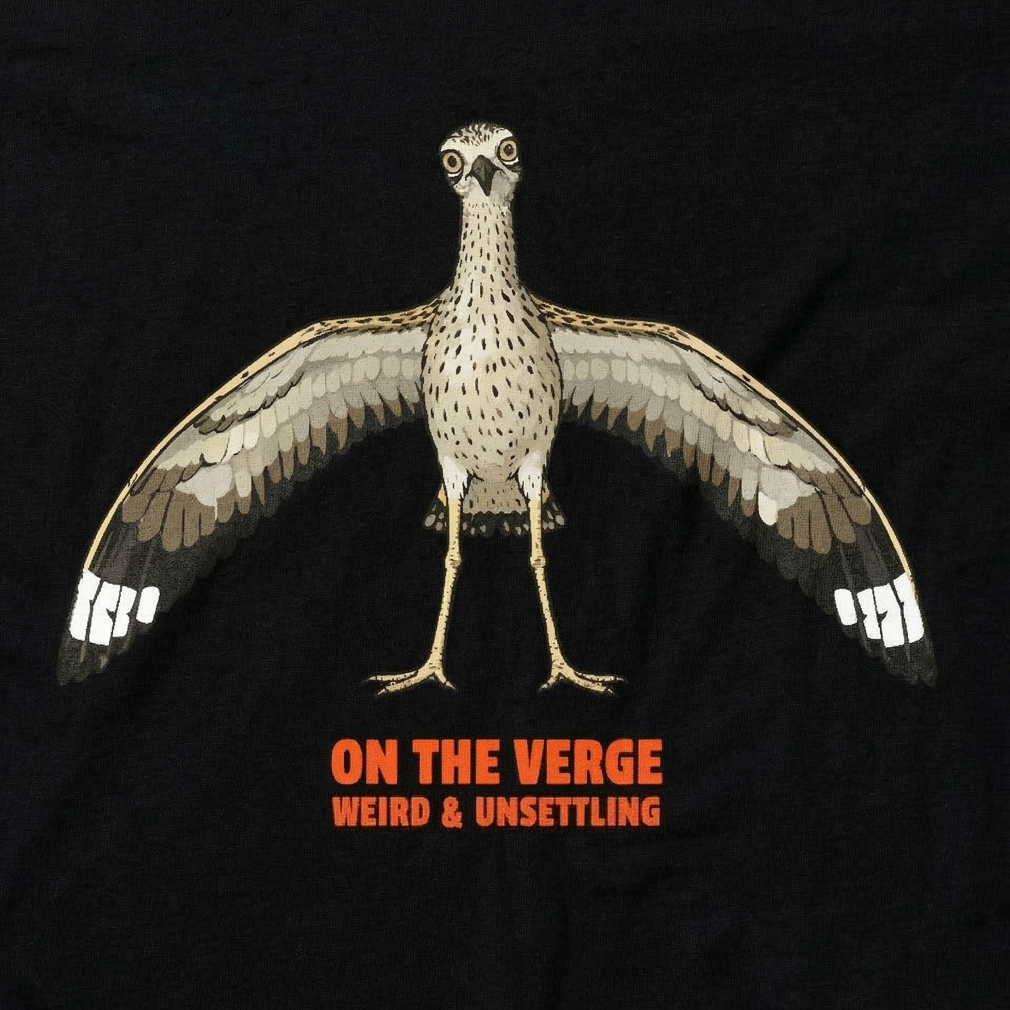 On The Verge – Weird & Unsettling Curlew
