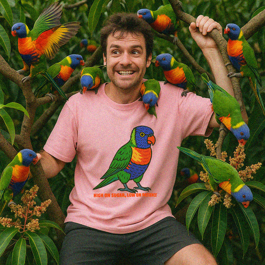 High On Sugar, Low On Patience - Rainbow Lorikeet